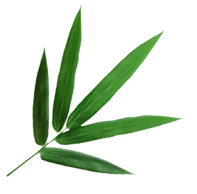 Ningguo Kuntai Bamboo at Wood Co., Ltd.